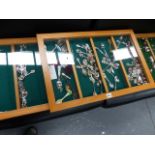 A LARGE QTY OF COLLECTOR'S SPOONS IN DISPLAY CASES.