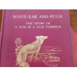 BOOK. NEILS HEIBERG. WHITE-EAR AND PETER, ILLUSTRATED BY CECIL ALDIN, LONDON 1912 TOGETHER WITH