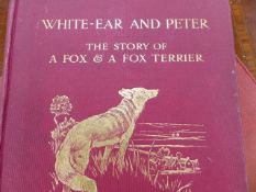 BOOK. NEILS HEIBERG. WHITE-EAR AND PETER, ILLUSTRATED BY CECIL ALDIN, LONDON 1912 TOGETHER WITH