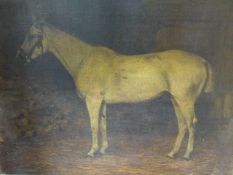 19th / 20th.C. ENGLISH SCHOOL. PORTRAIT OF THE RACE HORSE JEDDAH, A DERBY WINNER. OIL ON CANVAS.