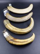 FOUR BOAR'S TUSKS WITH NUT AND BOLT MOUNTINGS.