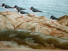 DAVID PARRY. 20th.C. ARR. SEA BIRDS BY A ROCKPOOL, SIGNED WATERCOLOUR. 30 x 45cms.