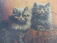 E.B.WEAVER. EARLY 20th.C.ENGLISH SCHOOL. TWO CATS, SIGNED AND DATED, UNFRAMED OIL ON CANVAS. 18 x