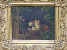 HENRIETTE RONNER KNIP. (1821-1909) THREE KITTENS, SIGNED OIL ON PANEL. 14 x 18cms.