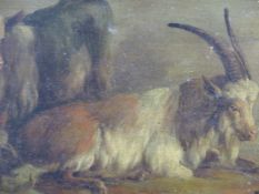 19th.C.CONTINENTAL SCHOOL. A PAIR OF STUDIES OF MOUNTAIN SHEEP AND GOATS, OIL ON BOARD. 11 x