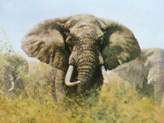 DAVID SHEPHERD. (1931-2017) THREE HAPPY JUMBOS, A PENCIL SIGNED LIMITED EDITION COLOUR PRINT. 49 x