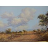 FRANCOIS BADENHORST. (1934-2013) ARR. TWO SOUTH AFRICAN LANDSCAPES, BOTH SIGNED OIL ON BOARD,