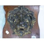 A 19th.C.GILT BRASS LION MASK DOOR BOSS LATER MOUNTED ON AN OAK PLAQUE. BOSS, 23 x 28cms.