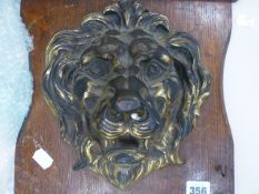 A 19th.C.GILT BRASS LION MASK DOOR BOSS LATER MOUNTED ON AN OAK PLAQUE. BOSS, 23 x 28cms.