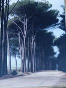 DANN VER MEULEN. CONTEMPORARY SOUTH AFRICAN. ARR. A WOODED LANDSCAPE, SIGNED, OIL ON CANVAS. 102 x