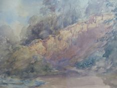 19th.C.ENGLISH SCHOOL. A WOODED HILLSIDE, WATERCOLOUR. 24.5 x 36cms.