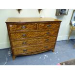 A LARGE 19TH.C.SATINBIRCH AND ROSEWOOD BANDED CHEST OF TWO SHORT AND THREE LONG GRADUATED DRAWERS BY