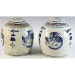 Pair of antique Chinese blue and white covered ginger jars having phoenix design, 10" x 9".