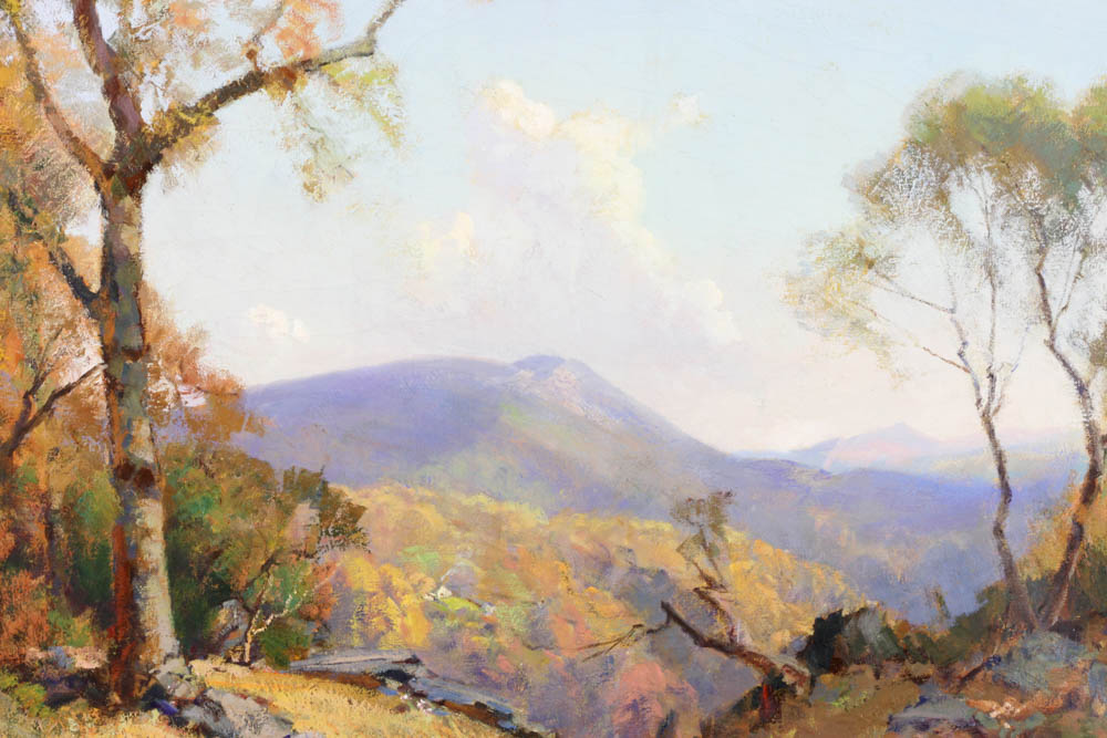 Frederick Ballard Williams (1871-1956), Blue Ridge Mountain landscape, oil on canvas, signed, 25" - Image 5 of 8