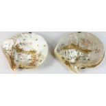 Pair of 19th century Chinese shells with gold handpainted scenes, 9 3/8" x 7 3/4". Provenance: Helen