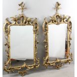 Pair of matching 19th century English Chippendale mirrors, carved giltwood with phoenix crest, 53" x