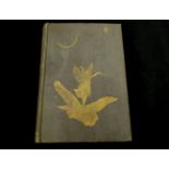 ANDREW LANG: THE GREY FAIRY BOOK, illustrated H J Ford, London, New York and Bombay, 1900, 1st