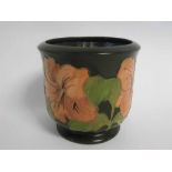 W Moorcroft "Hibiscus" pattern jardiniare, (dark green ground), green hand written mark and date "