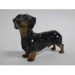 Royal Doulton model of a dachshund, model no HN1128, 15cms long