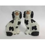 Pair of 19th century Staffordshire black and white Spaniel dog ornaments, with gilt and painted