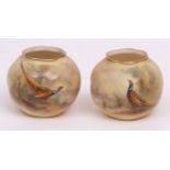 Pair of Royal Worcester small squat circular vases with wavy gilt rims, hand painted with