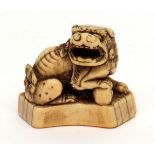 Japanese ivory netsuke, probably late 18th century carved as a spirited snarling ShiShi, its foot