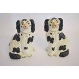 Pair of 19th century Staffordshire black and white dogs with gilded chains, 23cms tall