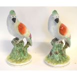 Pair of 19th century Staffordshire parrots with painted decoration perched on a trunk, each 23cms