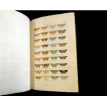 WILLIAM WOOD: INDEX ENTOMOLOGICUS; OR, A COMPLETE ILLUSTRATED CATALOGUE, CONSISTING OF UPWARDS OF