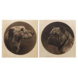 HERBERT THOMAS DICKSEE (1862-1942) Irish Wolfhound and Pug dog pair of black and white etchings,