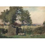 ALFRED HEATON COOPER RI (1864-1929)"Summer Meadows, Bishop Auckland" watercolour, signed lower right