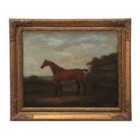 ATTRIBUTED TO JOHN NOST SARTORIUS (1759-1830) Horse in landscape oil on canvas 43 x 53cm