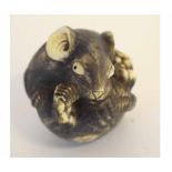 Japanese ivory netsuke carved as a curled rat, signed to base