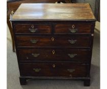 19th century mahogany small bachelor's chest of two over three full width drawers with brass swan