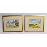 Peter Solly, signed pair of watercolours, "Yellow Field 1" and "Yellow Field 2", 14 x 19cms (2)