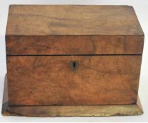 19th century walnut rectangular formed tea caddy with two fitted compartments and a brass