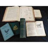 W J MILES: MODERN PRACTICAL FARRIERY, London, William MacKenzie, circa 1880, 20 chromolitho plates +