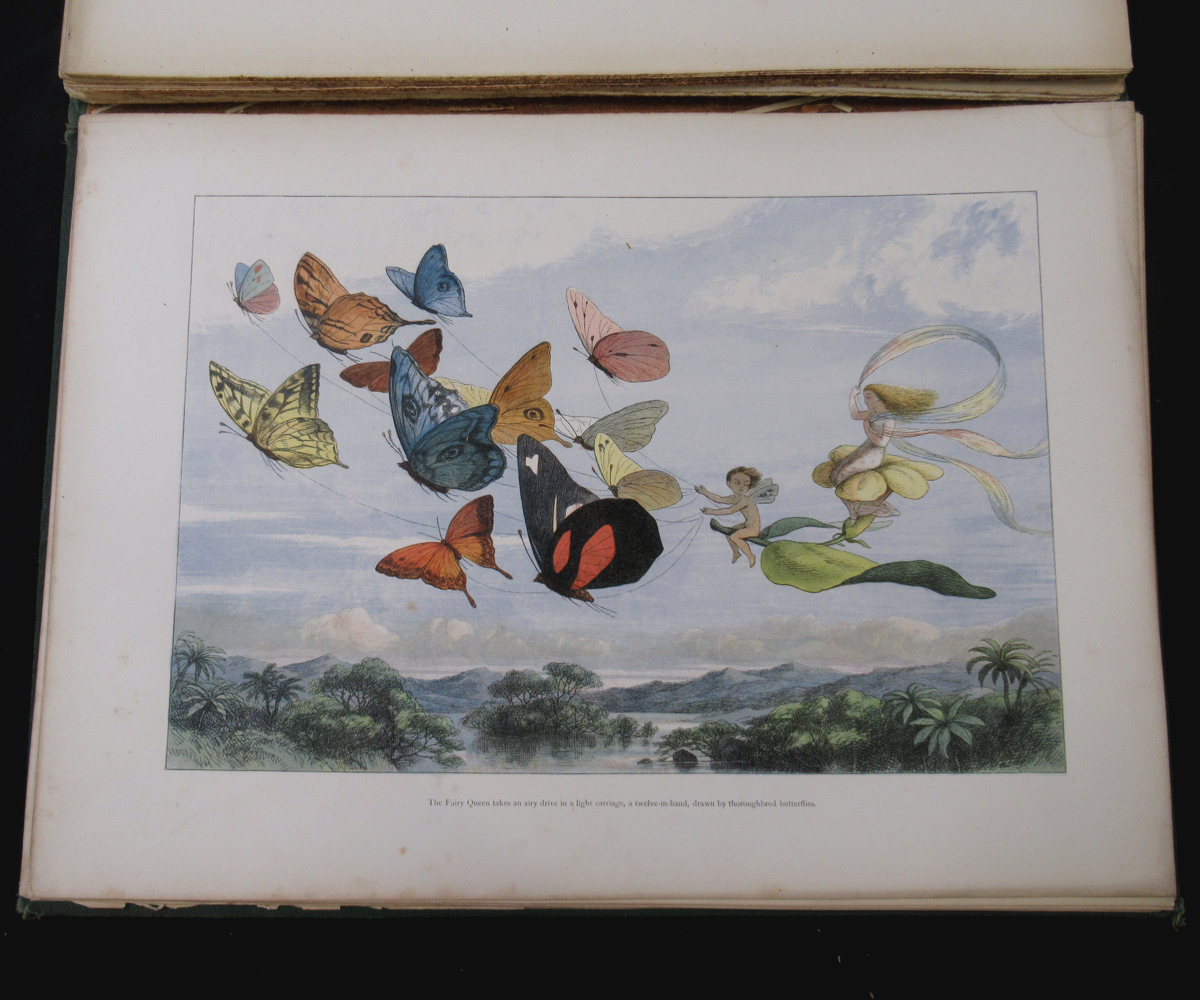 RICHARD DOYLE (ILLUSTRATED) AND WILLIAM ALLINGHAM: IN FAIRYLAND, A SERIES OF PICTURES FROM THE ELF- - Image 10 of 11