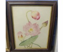 Indian Company School, circa 1820, watercolour, Study of a water lily, inscribed verso "