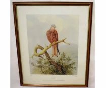 R David Digby, signed in pencil to margin, limited edition (672/850) coloured print, "Red Kite",