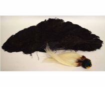 Box containing an Ostrich feather fan, together with a further exotic bird hair-piece (2)