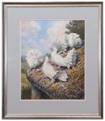 AR CARL DONNER (CONTEMPORARY) white garden Fantail Pigeons watercolour, signed and dated 02 lower