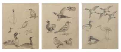 AR ROLAND GREEN (1896-1972) Bird sketches group of three pencil drawings, all initialled lower right