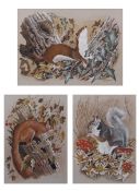 AR TERENCE J BOND (born 1946) "Grey Squirrel and Sycamore Leaves", "Red Squirrel and Hawthorn"