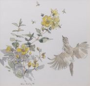 AR JOHN BUSBY (born 1928) Spotted Flycatcher (illustration from BIRDS IN YOUR GARDEN) watercolour,
