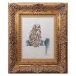 AR RICHARD WARD (born 1944) Long eared owl watercolour, signed lower right 38 x 29cms