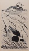AR ROBERT GILLMOR (born 1936) "Long tailed ducks, from A NOTEBOOK OF BIRDS by JIM FLEGG, MacMillan