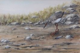 AR ANDREW MILLER MUNDY (1944-2000) "Redshank feeding at Luskentyre" pastel, signed lower right 21
