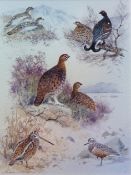 COLIN W BURNS (born 1944) "Ptarmigan, Black Game, Red Grouse, Woodcock and Dotterel" watercolour,
