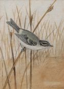 AR ROLAND GREEN (1896-1972) Reed Bunting watercolour, signed lower right 19 x 13cms